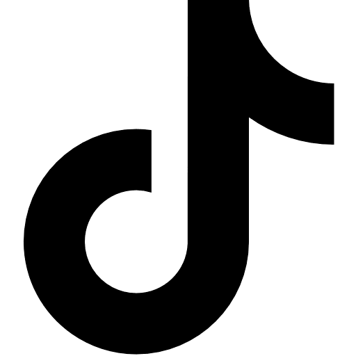 TikTok Platform - Short-form video content and viral engagement
